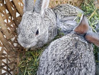 因帧数不稳定等原因《不羁联盟》主机版体验欠佳